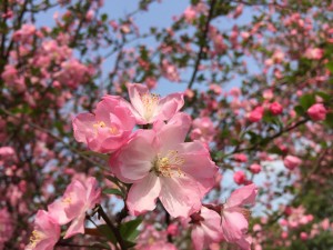 IMG_3092